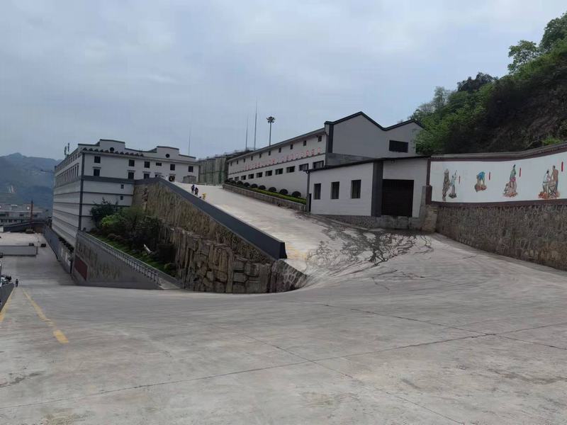 公司环境